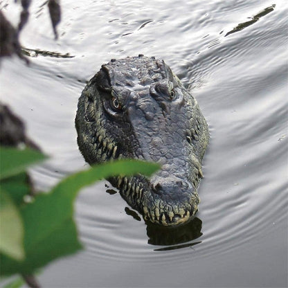 RC Alligator Head Toy